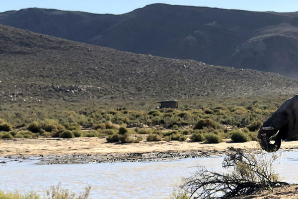 Witness elephants roam against rugged mountain backdrops at Aquila Private Game Reserve.