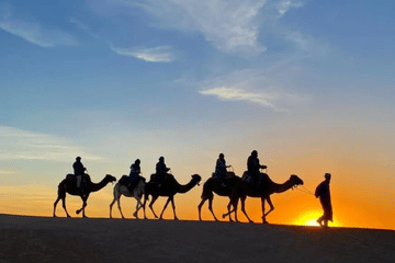 Camel Ride and Dinner Show in Agafay Desert, Morocco