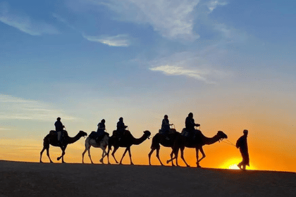 Marrakech: Agafay Desert – Camel Ride and Dinner Show