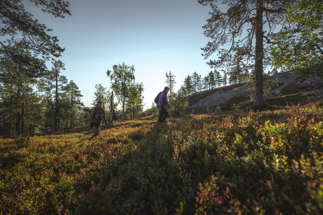 Pyha-Luosto national park