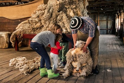 Nibepo Aike Ranch Day and Horseback Riding from el Calafate