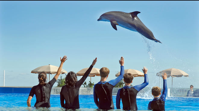 Dolphin Encounter at Marineland photo 4
