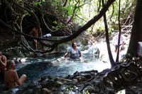 Thailand’s Last Lowland Rainforest – A Hidden Gem Tour 4