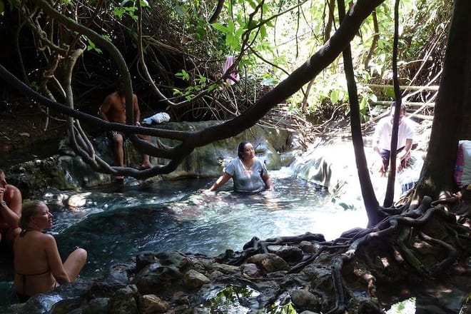 Thailand’s Last Lowland Rainforest – A Hidden Gem Tour photo 4