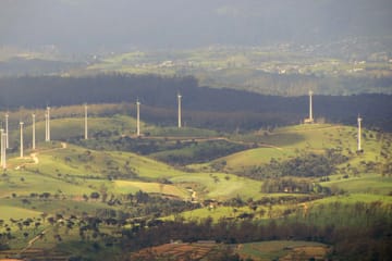 03 Day Nuwara Eliya & Ambewela Tour