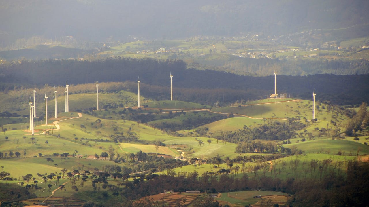 03 Day Nuwara Eliya & Ambewela Tour 3