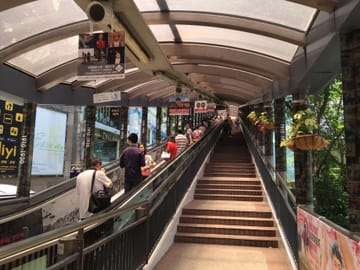 One-day Hong Kong Landmarks Visit with Michelin Dim Sum