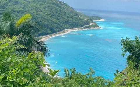 Escapada por Bahia las Aguilas, Santo Domingo, Saona y Punta Cana 7 Dias