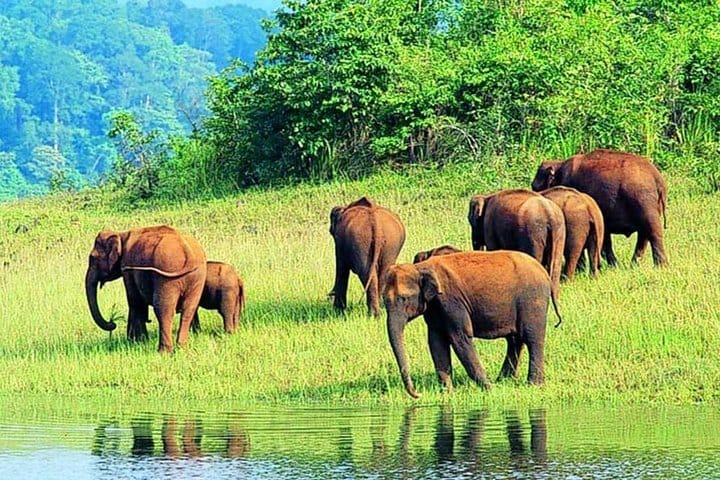 Jaipur Heritage walk Tour