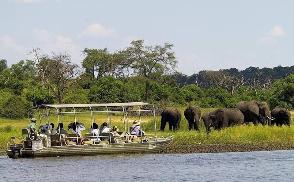 Full Day Chobe National Park Tour from Victoria Falls