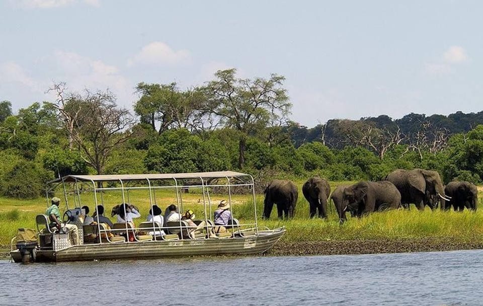 Full Day Chobe National Park Tour from Victoria Falls