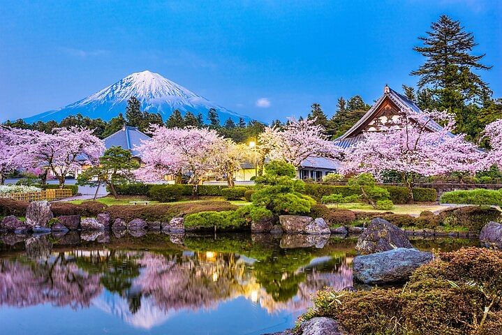 Mt Fuji and Gotemba Outlet tour from Tokyo