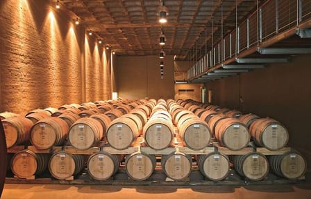 Cape Winelands Private Tour to Stellenbosch and Franschhoek