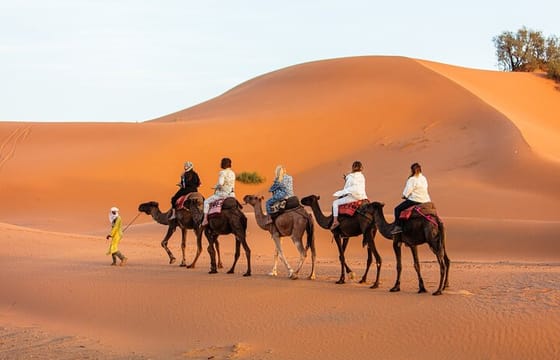 3 Days Luxury Desert Tour From Fes To Marrakech via Merzouga