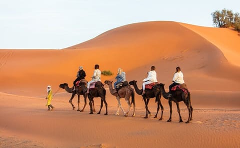 Luxury 3-Day Desert Tour from Fes to Marrakech via Ait Ben Haddou