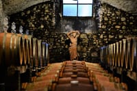 Exclusive Private Tuscan Dinner Half Day from Florence 10