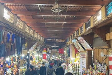 Guided Walking Tour of Old Medina in Fes, Morocco
