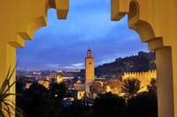 FES