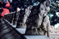 14 Days Private Best China and Yangtze River Cruise Tour. 2