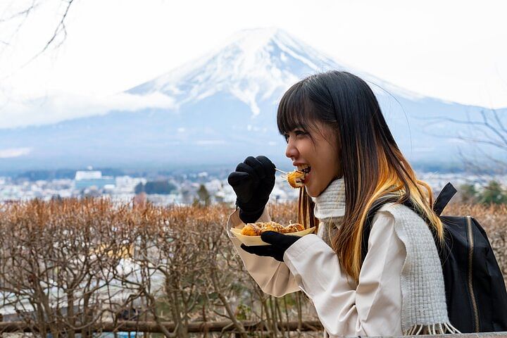 Mt Fuji Private Day Trip from Tokyo with English speaking driver