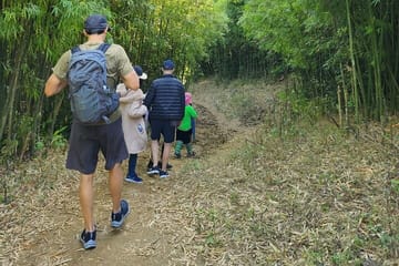 5-Hour Private Trekking Bamboo Forest Tour in Muong Hoa Valley