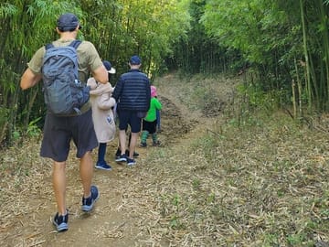 From Sapa: Trekking through Bamboo Forest & Muong Hoa Valley