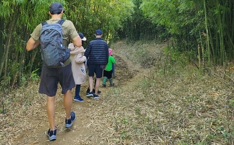 Private 5-Hour Trekking Tour in Muong Hoa Valley, Sapa