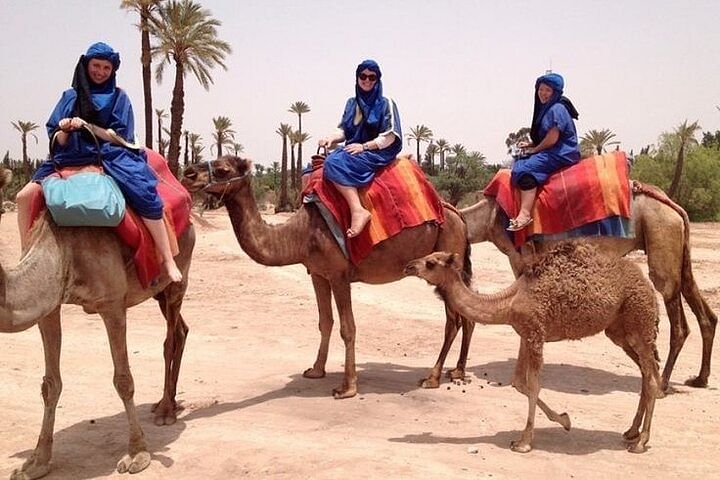 Marrakech Palmeraie Camel Trek: Cultural Oasis Adventure & Mint Tea