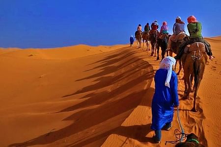 Sahara Desert Adventure Tour from Marrakesh: Camel Rides & Scenic Views