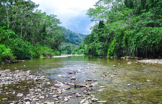 T2B-Belize River Tubing Adventure – Float Through the Jungle