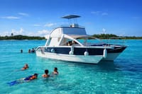 Cap Cana Private Catamaran with Sandbar and Snorkel 5