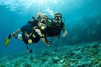 Scuba Diving Tour 3