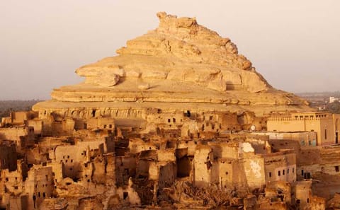 10-Day Private Safari and Antiquities Tour in Cairo