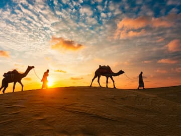 5-Day Adventure Tour of Dubai and Sharjah Highlights