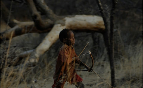 Hadza tribe immersive experience