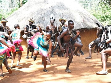 Private Tour of Giraffe Center and Elephant Orphanage in Nairobi