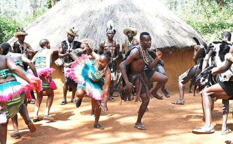 Private Tour of Giraffe Center and Elephant Orphanage in Nairobi