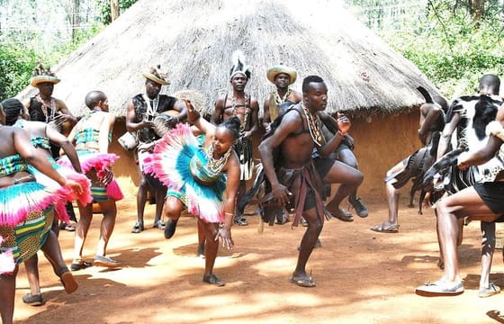 Private Tour Giraffe Center, Elephant Orphanage, Bomas & Dinner Carnivore