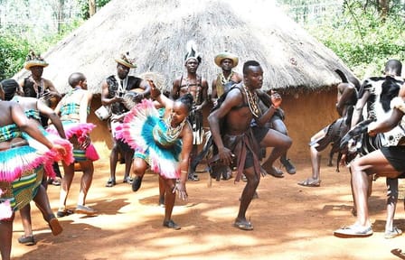 Private Tour of Giraffe Center and Elephant Orphanage in Nairobi