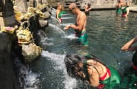 Private Bali Highlights Tour and Ritual Bath at Tirta Empul 9