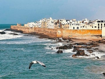 From Marrakesh: Full Private Day Tour To Essaouira Mogador