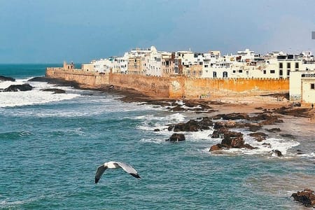 Essaouira Day Trip: Explore the Bohemian Medina and Scenic Coastline
