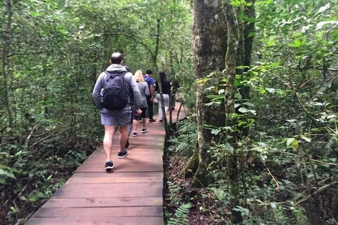 Iguazu Falls: Argentina Side, Boat Ride & City Tour – Private (Also IGU Pick-up) 6
