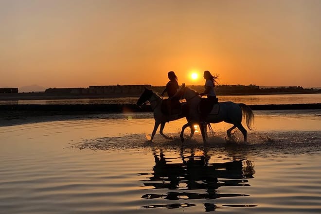 Swimming By Horse in Red Sea, Horse Riding Sea &amp; Desert-Hurghada