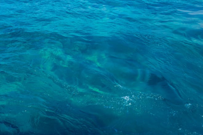 Paphos: Blue Lagoon Boat Adventure with Bus Transfer 10