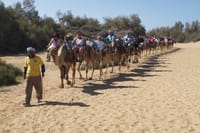 Camel Safari Maspalomas