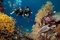 Scuba Diving and Snorkeling Trip in Side 4
