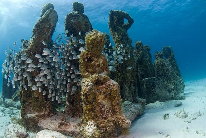 Cancun 5 in 1 Snorkeling Tour: MUSA, Shipwreck, Reefs & Cenotes photo 6