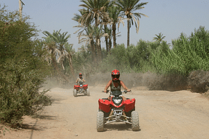Marrakech Quad Bike ATV on the Palm Groves