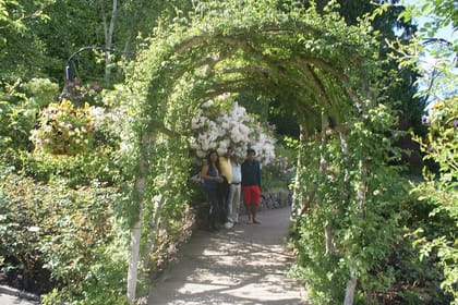 3-Day Vancouver City Tour Package With Whistler and Victoria Optional Private